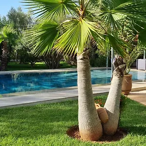 Les Deux Citronniers 3*, Marrakesh Morocco